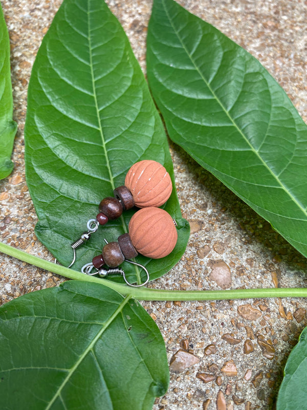 Brown style earrings